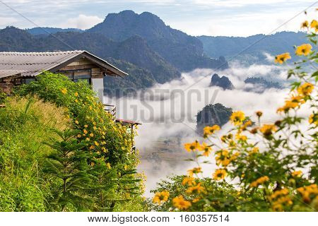 Morning fog on sunrise in the Phulanka, Phayao
