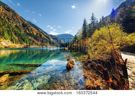 Beautiful View Of The Arrow Bamboo Lake Among Wooded Mountains