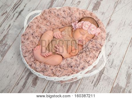 beautiful newborn girl with headband in basket with fluffy blanket