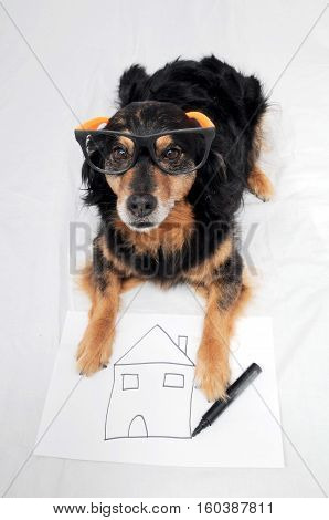 Drawing Dog