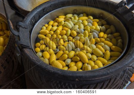 Beautiful yellow color Boiling cocoon silkworm in a pot.