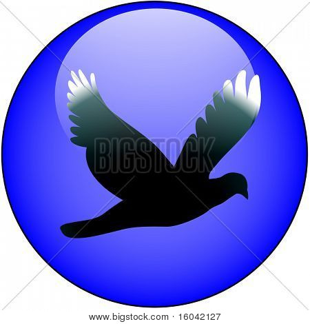 Freiheit, Flug, Vogel Web button