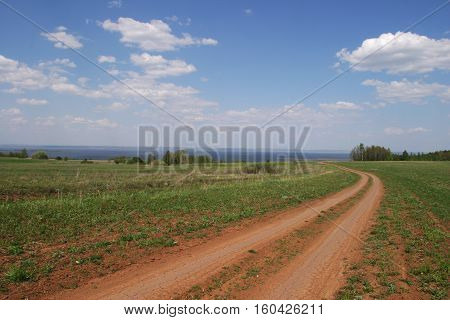 Summer Landscape