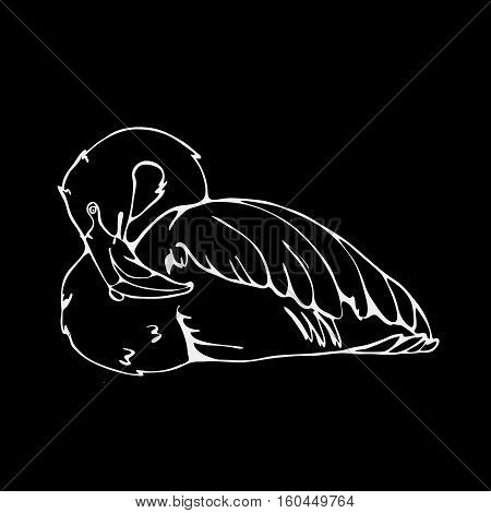 Hand-drawn pencil graphics, flamingo. Engraving, stencil style. Black and white logo, sign, emblem, symbol. Stamp, seal. Simple illustration. Sketch.