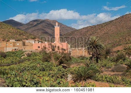 Small village with a mosque in the valley of Atlas mountains in an oasis with palm trees and many cactus plants. Blue sky with some clouds.