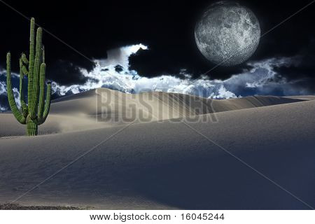 Cactus y Luna del desierto