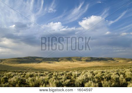 interessante Wolken über Salbei Pinsel