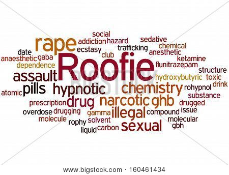 Roofie, Word Cloud Concept