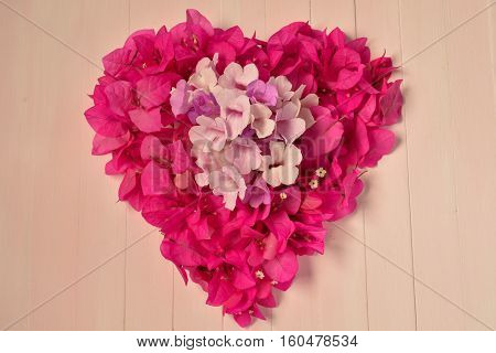 Bougainvillea heart on wood background, valentine day.
