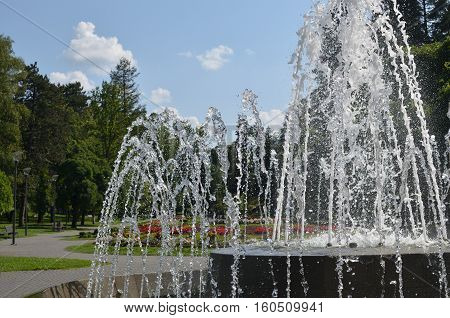 Fountain In Park