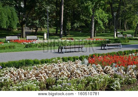 Benches In Park