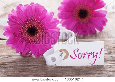 Label With English Text Sorry. Pink Spring Gerbera Blossom. Vintage, Rutic Or Aged Wooden Background. Card For Spring Greetings.