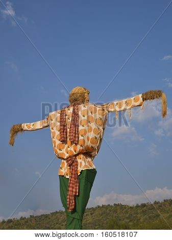 Scarecrow with colorful clothes in the countryside of Thailand.