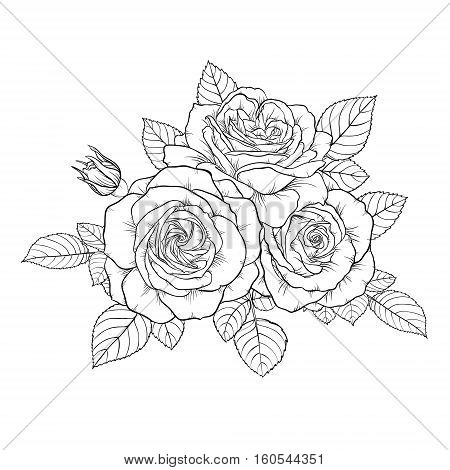 beautiful monochrome black and white bouquet rose isolated on background. Hand-drawn. design greeting card and invitation of the wedding birthday Valentine's Day mother's day and other holiday