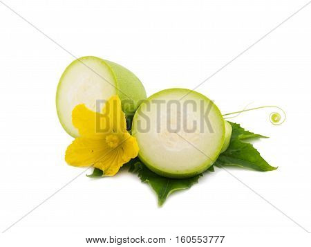 Fresh marrow zucchini slice with leaf and flower isolated on white background