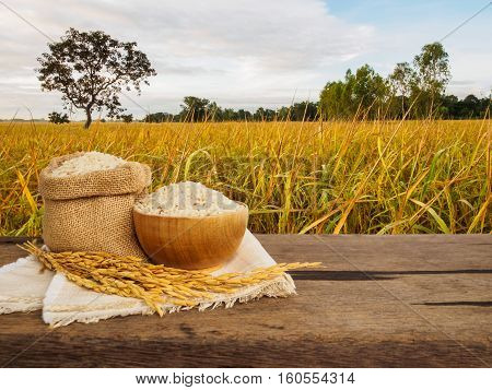 Rice in bowl and sack with spike on wooden table of gloden rice plant background with copy space