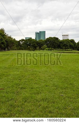 City park City park at Vachirabenjatas Park (Rot Fai Park) Bangkok Thailand