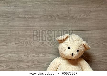 Teddy bear - favorite children's toy .