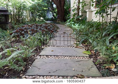 path walkway pathway sidewalk in garden park