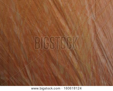 Red wood, freshly cut with chainsaw, abstract background