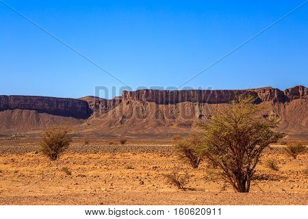 Beautiful Moroccan Mountain Landscape With Acacia Tree In Foreground