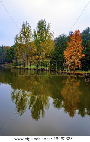 Autumn trees around lake. Fall trees reflected in lake. Autumnal scene with yellow orange and red leaves on trees.