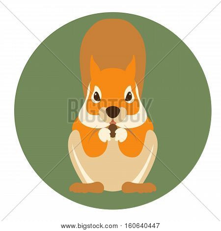 squirrel vector illustration Flat style front side