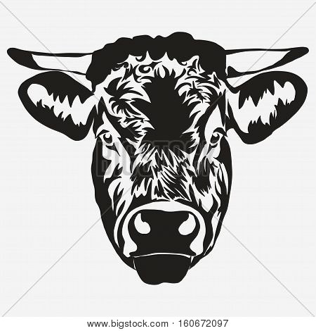 Bull head on white background, butcher Farm Animal. Meat farming emblem. Vector