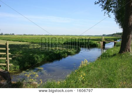 Hollandske landskab