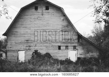 Large old barn in black and white. Rear side of an old barn in the rural countryside near Beaverton, Oregon, USA.