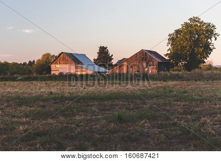 Old barn and house in rural farm land setting. Farmington, Oregon USA.