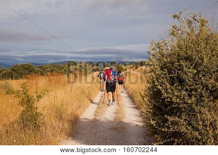 ASTORGA COUNTRYSIDE SPAIN - AUGUST 04: Pilgrimns along the way of St. James on August 03 2016
