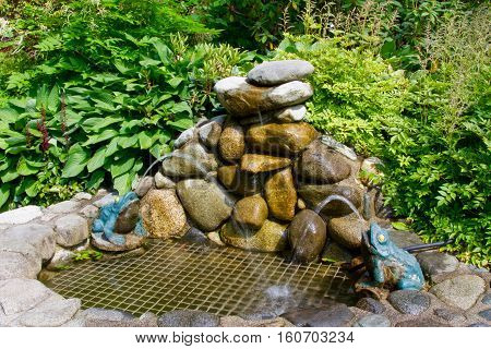 A small man-made water fountain with rocks and artificial frogs near the Capilano Suspension Bridge area in Vancouver, Canada