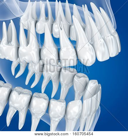 Transparent scull and teeth xray view . 3D illustration .