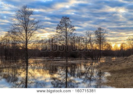 Spring Landscape, Pour A River Flooded Trees