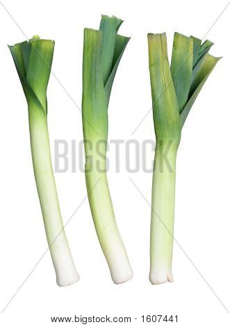 三个威尔士绿色韭菜、 孤立在白色背景上。