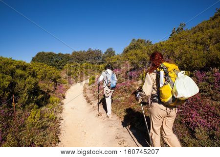 RABANAL SPAIN - AUGUST 05: Pilgrims along the way of St. James on August 05 2016