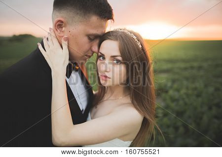 Beautiful wedding couple, love on the sunset. Fielf with flowers.