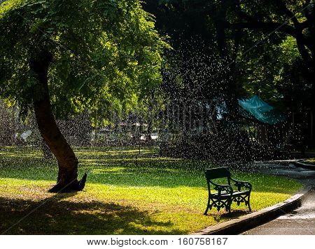 Watering the tree at Lumphini park Bangkok Thailand