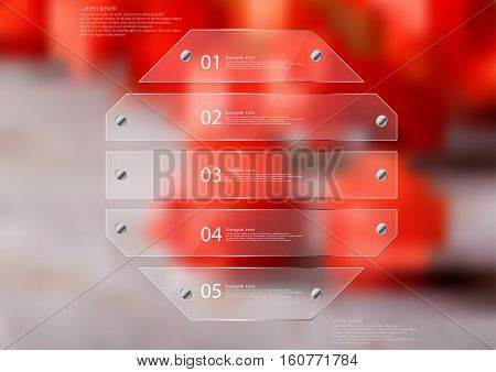 Illustration infographic template with motif of glass octagon horizontally divided to five sections. Blurred photo with natural motif is used as background with several red physalis blooms.
