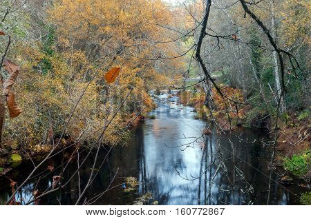 Arenteiro River