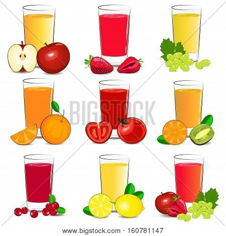 Set of vector illustration of fresh fruit and vegetable juice