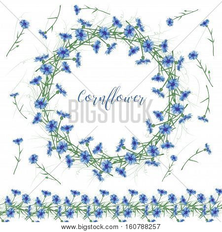 The wreath of cornflowers flowers on a white background. Decor element. Sweetheart card.