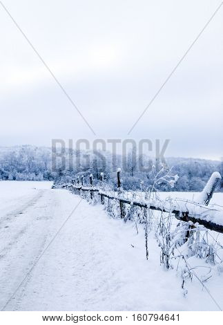 Winter Landscape With Snow Covered Fence