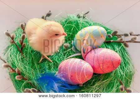 Beautiful decorative rooster farm spring rooster, chicken basket eggs nest