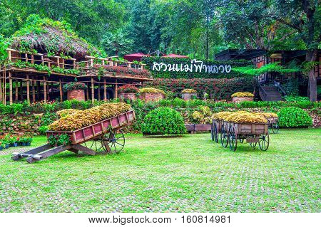 Garden Flowers, Mae Fah Luang Garden Locate On Doi Tung In Chiang Rai,thailand.