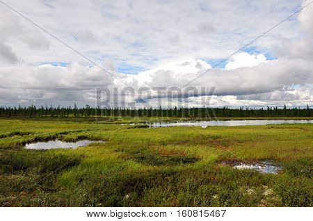 There is lake in the green meadow. There are many white clouds in the dark blue sky