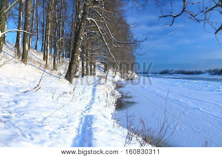 Beautiful winter day. Snow on the bank of the river. Trees under the snow. The low winter sun.