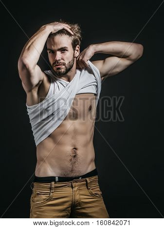 Handsome Muscular Sexy Man