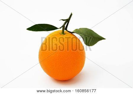 Best and best quality high resolution bigstock orange pictures